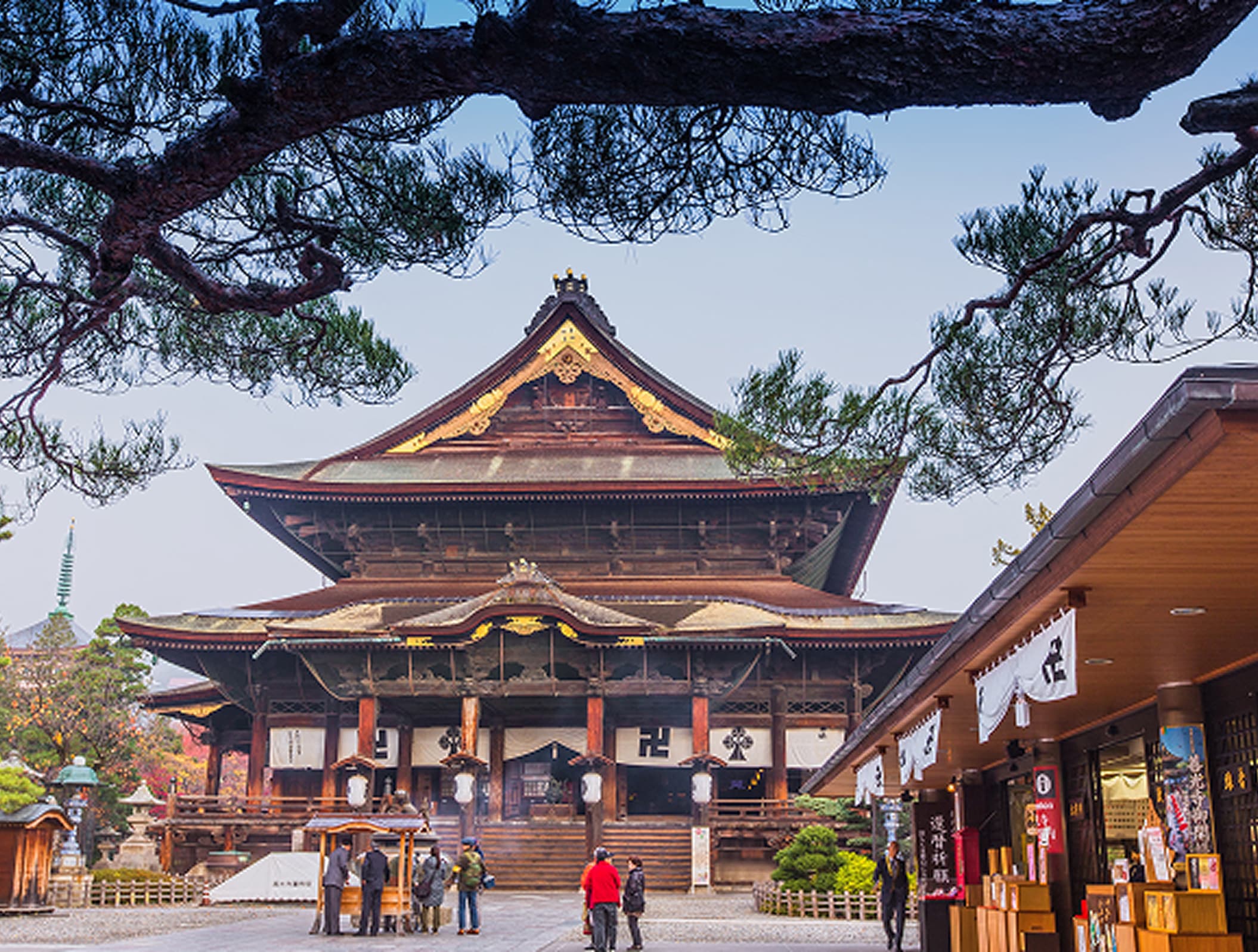 時を超え、
"知"と"美"にふれる旅