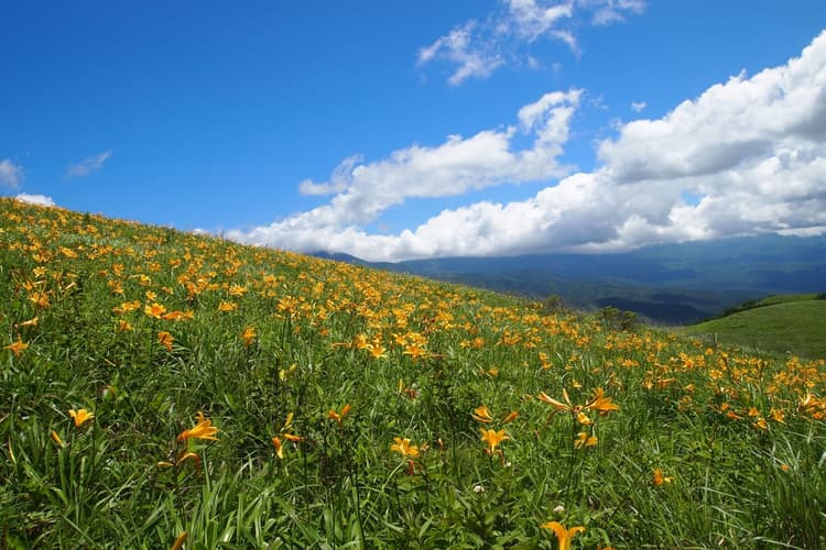 観光素材サンプル