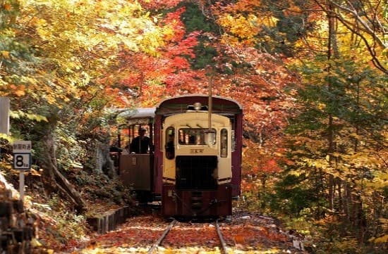 木曽の林業や暮らしを支えた
木曽森林鉄道の遺構を訪ねる旅